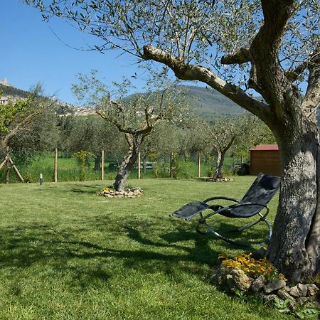 Hotel Il Granaio Di Rossetti Elisabetta Assisi Exterior foto