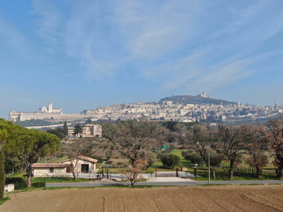 Hotel Il Granaio Di Rossetti Elisabetta Assisi Exterior foto